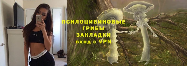 прущие крисы Саяногорск